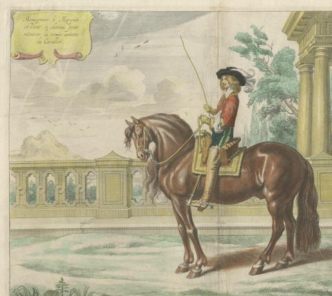 Equestrian Dressage Horse Print Original Handcolored Antique Engraving , 1743, close-up 2