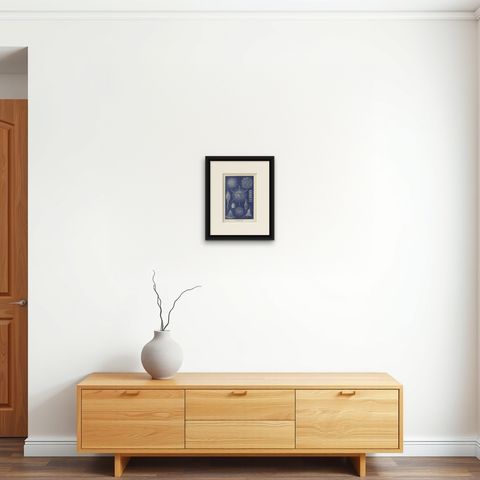 Radiolarians, Blue Scientific Natural History Plate from Lydekker, 1896, shown framed on a wall