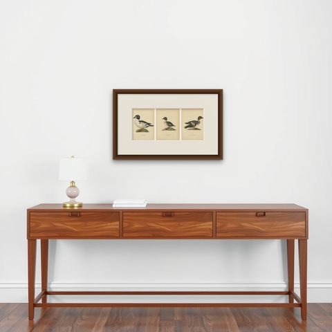 Antique Scandinavian Bird Lithographs, Goldeneye Ducks, Svenska Fåglar - 1929, shown framed on a wall