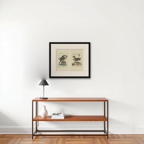 Set of 2 Antique Prints of a Male and Female Arctic Bird, shown framed on a wall