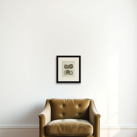 Original Antique Print of Four Exotic Snakes by Bertuch, 1802, shown framed on a wall