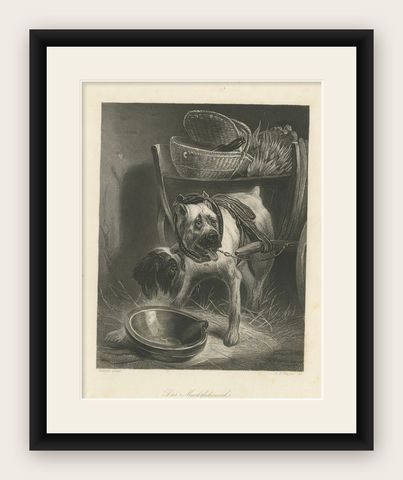 Belgian Mastiff Working Dog, Antique Engraving by A.H. Payne, c.1850, shown framed