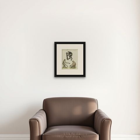 Original Antique Print with Three Monkeys Including the Indri, shown framed on a wall