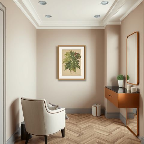 Antique Flower Print of the Acer Palmatum, 1879, shown framed in a room