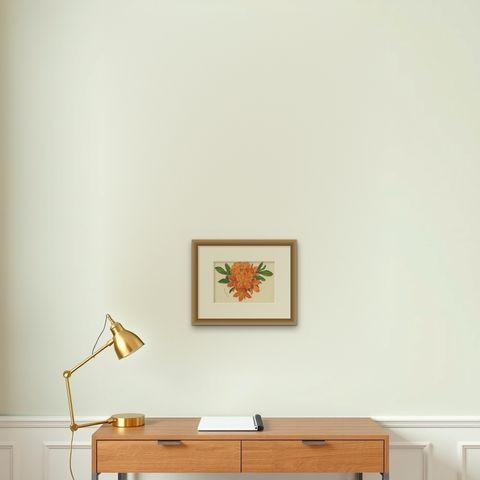 Enchanted Blossoms: Masterpieces of Botanical Art from Van Houtte's Florilegium, shown framed on a wall