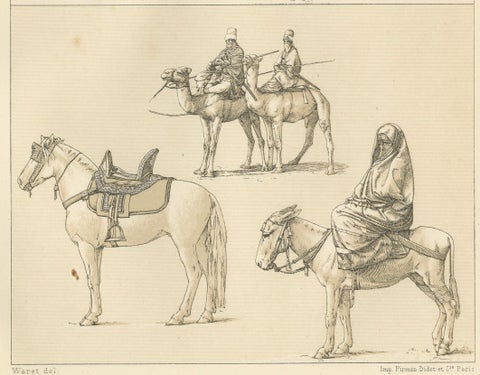 African Transport & Camel Litter, Racinet Afrique Plate, 1888, close-up 5