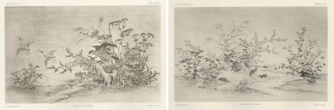 Japanese Nature Scene Prints: Delicate 19th-Century Botanical & Bird Etchings, view 4