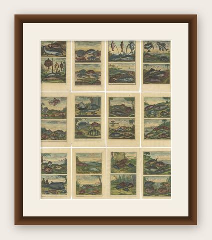 Set of 12 Colored Antique Prints of Various Fishes and Crustaceans, shown framed