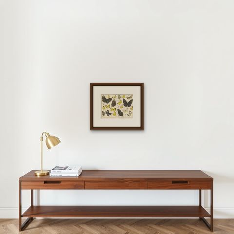 Antique Butterfly Prints (Set of 2), Sumatra Lepidoptera c.1887, shown framed on a wall