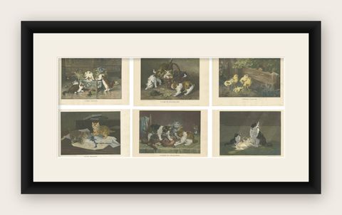 Set of 6 Original Antique Cat Prints made after paintings, circa 1898, shown framed