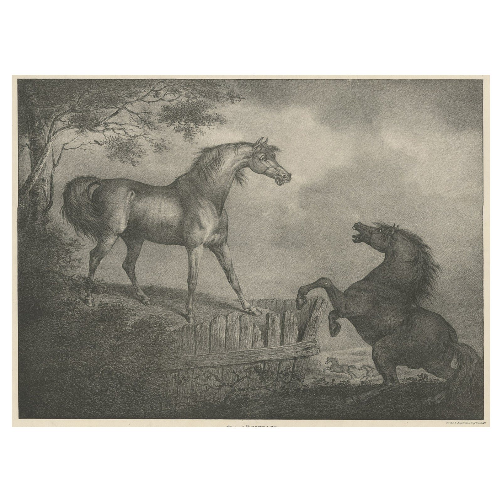 Original Antique Lithograph of a Horse Showing the Passion 'Courage', 1827