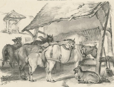19th Century Antique Print of Horses and a Goat by Cooper, 1839, view 2