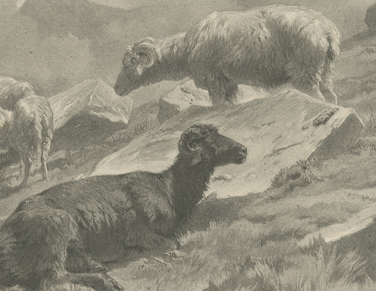 Sheep in a Mountain Landscape after Rosa Bonheur, Photogravure, circa 1880, view 5