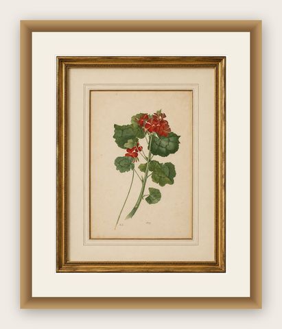 Two Stems with Red Flowers, Botanical Watercolor by A.L., 1819, shown framed