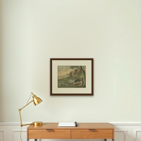 Colored Antique Print of a Cuscus, Lippano and other Animals, shown framed on a wall