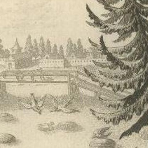 Antique Print of Catching Wild Ducks in China, 1748, close-up 1