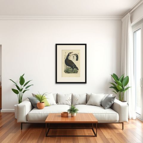 Antique Bird Print of the Great Black Cormorant by Sepp & Nozeman, 1770, shown framed in a room