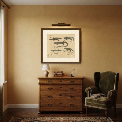 Five Exotic Lizards, Antique Bertuch Print, Vienna, circa 1820, shown framed in a room