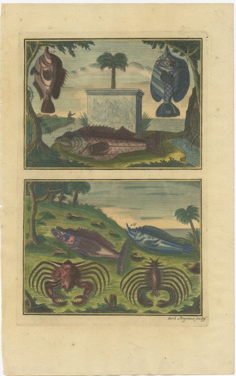 Set of 8 Colored Antique Prints of Various Fishes and Crustaceans, view 7