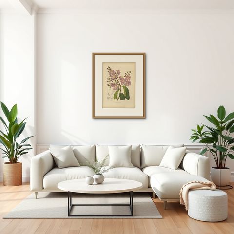 Original Antique Botanical Chromolithograph of Queen's Crape Myrtle, c. 1880, shown framed in a room