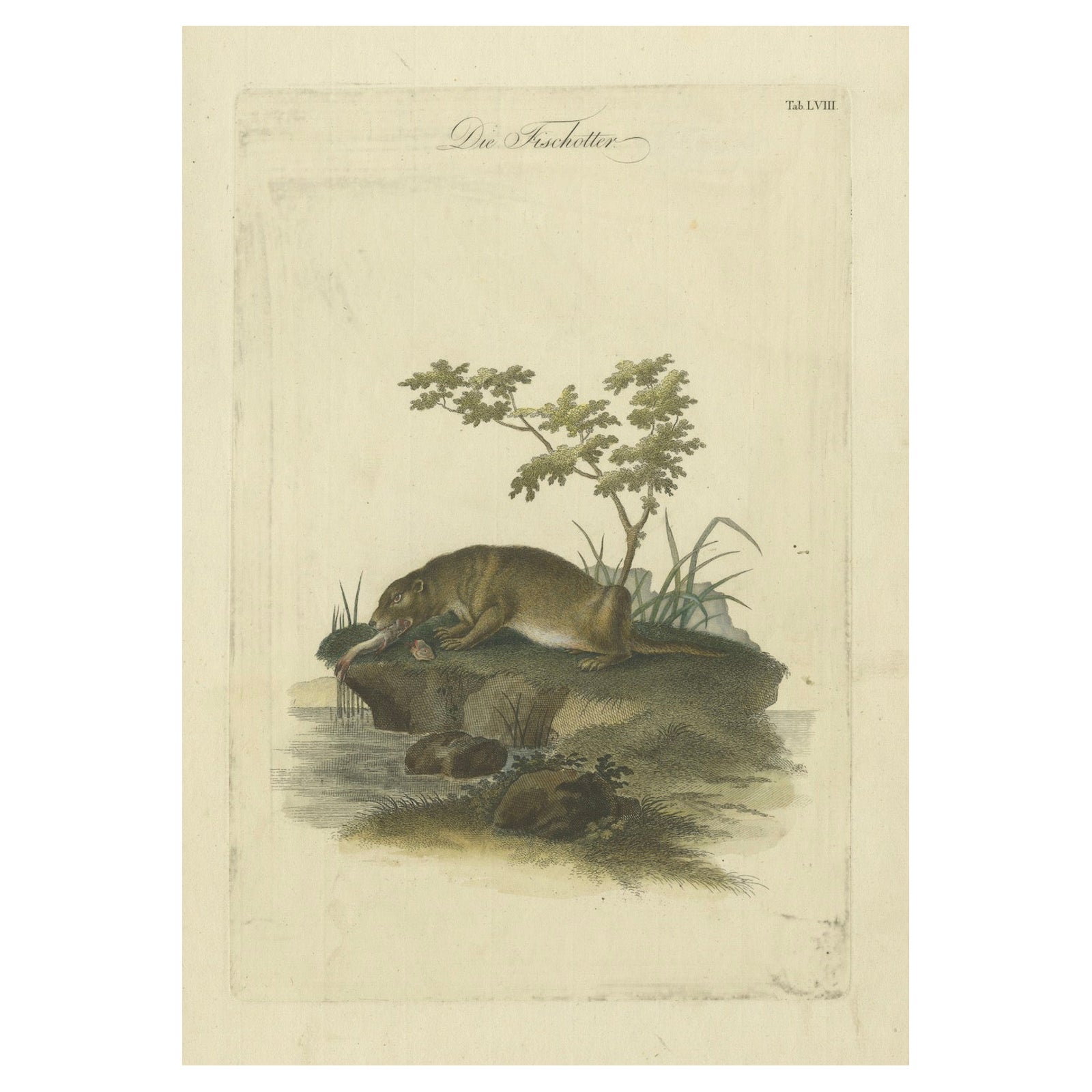 The Otter’s Catch: A Masterpiece Engraving from Johann Daniel Meyer, ca.1750
