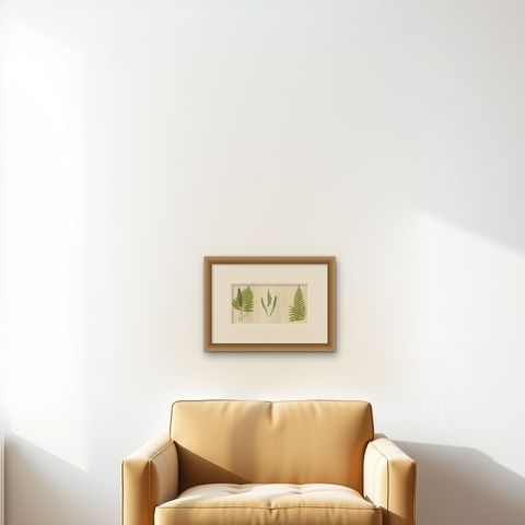 Antique Hand-Colored Fern Prints - Onoclea, Fadyenia, Cyclopeltis - 19th Century, shown framed on a wall