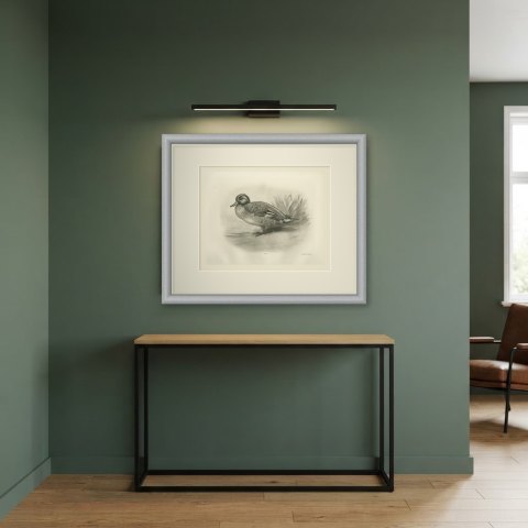 Teal Drake by the Reeds, Plate CLXXVI after Lilian Medland, c. 1909, shown framed in a room