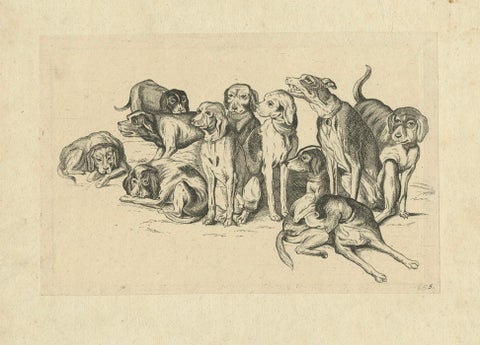 Eleven Hounds, Reversed 17th-Century Etching After Wenceslaus Hollar, c.1646, close-up 3