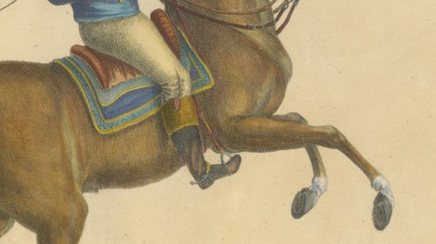 Regency English Horse Lithograph by Brodtmann, Equus Angliae, 1816, close-up 4
