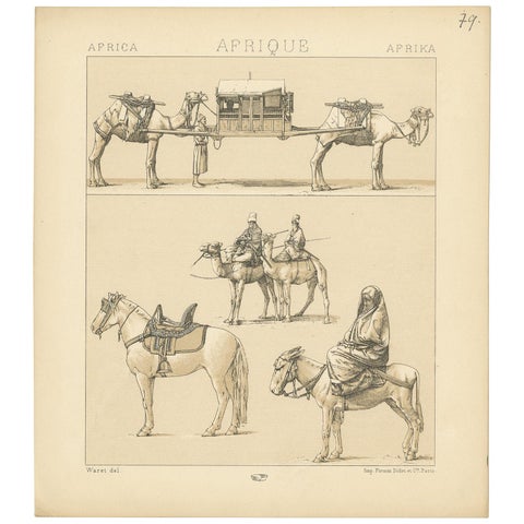 Antique Print of African Working Animals by Racinet, 'circa 1880'