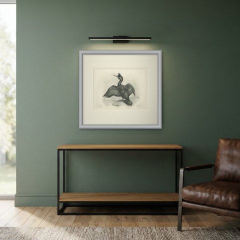 Crested Shag Drying Its Wings on a Rock after Lilian Medland, c. 1909, shown framed in a room