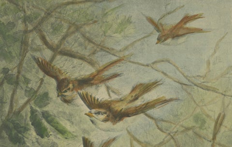Autumn Flight - Giacomelli’s Sparrows in Falling Leaves, Circa 1891, close-up 2
