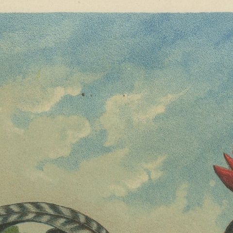 The Striking Cuckoo Italian Chicken - A Rare 19th Century Poultry Lithograph, close-up 6