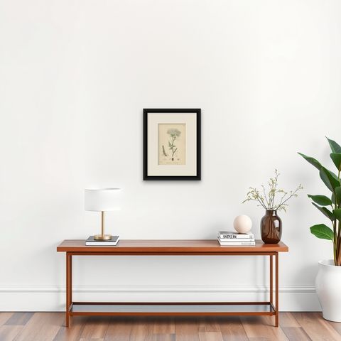 Antique Botany Print 'Marsh Hog's-Fennel' by J. Sowerby, circa 1860, shown framed on a wall