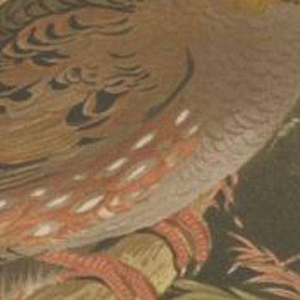 Antique Bird Print of the Aracan Hill Partridge by Hume & Marshall, 1879, close-up 1