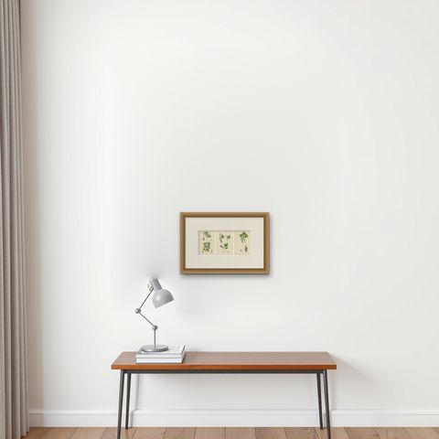 Hand-Colored Botanical Engravings of Gooseberry and Currant Varieties, 1902, shown framed on a wall