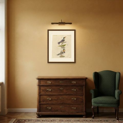 Kingfisher and Mandarin Duck, Antique Bertuch Print, Vienna, circa 1805, shown framed in a room