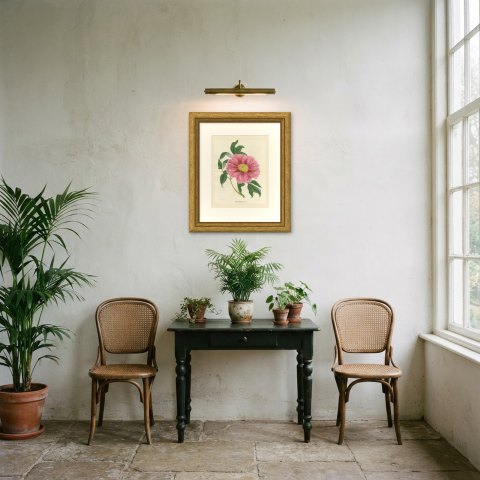 Tree Peony Impératrice de France, Paeonia Moutan Chromolithograph, 1858, shown framed in a room