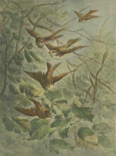 Autumn Flight - Giacomelli’s Sparrows in Falling Leaves, Circa 1891, close-up 3