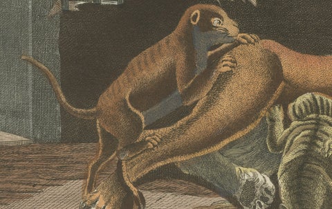Original Antique Print of a Lioness and Her Cubs by Bertuch, 1810, close-up 5