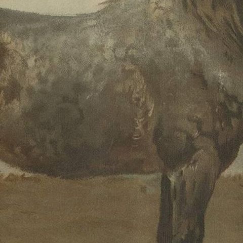 Antique Print of the Russian Horse by O. Eerelman, 1898, close-up 2