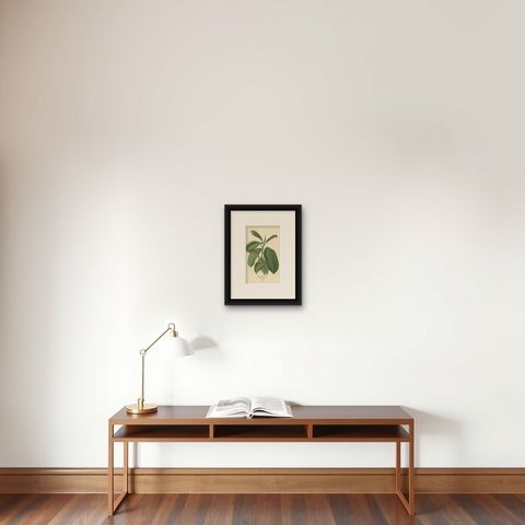 1897 Victorian Botanical Print, India-Rubber Plant (Ficus Elastica), shown framed on a wall
