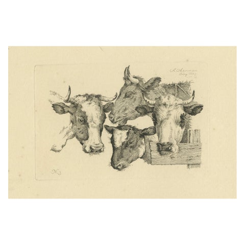 Etching of Four Cow Heads: Detailed Farm Animal Study by Oberman, 1809
