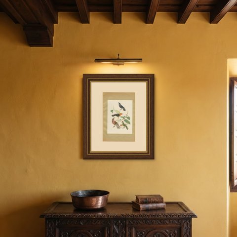Blackbirds and Marsh Birds, Brazilian Bird Print, Descourtilz, 1944, shown framed on a wall