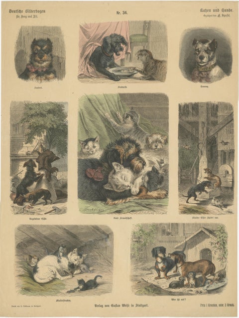 Antique Print of Cats and Dogs, Hand-Colored German Wood Engraving, c.1909, view 3
