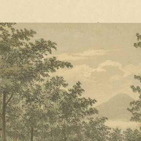 Antique Print of Fruit Farming on Java by M.T.H. Perelaer, 1888, close-up 1