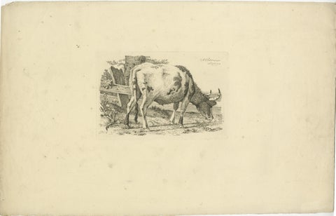 Etching of Grazing Cow by Fence: Farm Scene, Produced by A.Oberman in 1809, view 2