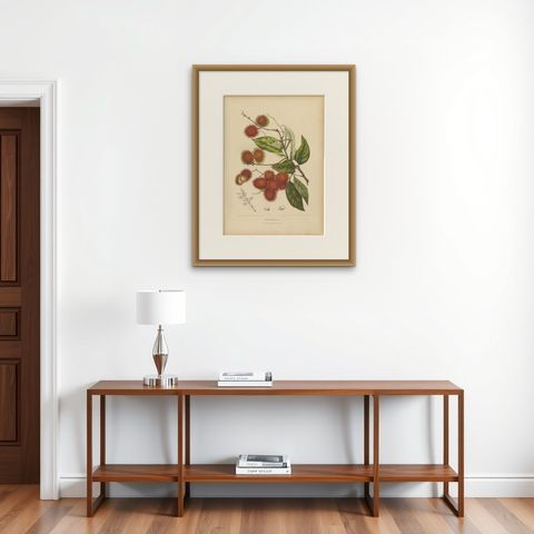 Original Antique Rambutan Botanical Chromolithograph by Hoola van Nooten, c.1880, shown framed on a wall