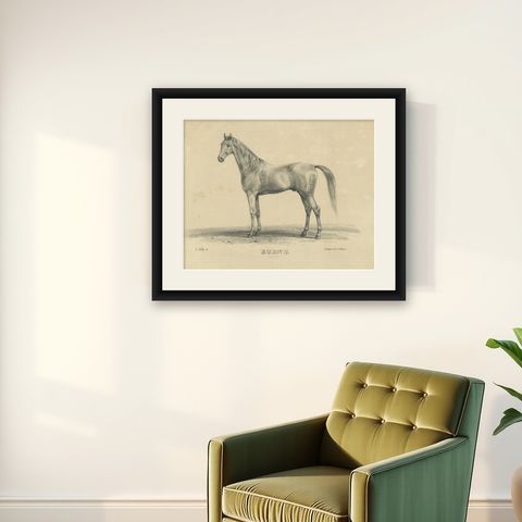 Antique Arabian Horse Lithograph “Burnu” by August Jäger, 1846, shown framed on a wall