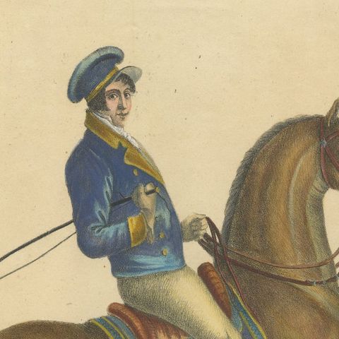 Regency English Horse Lithograph by Brodtmann, Equus Angliae, 1816, close-up 6